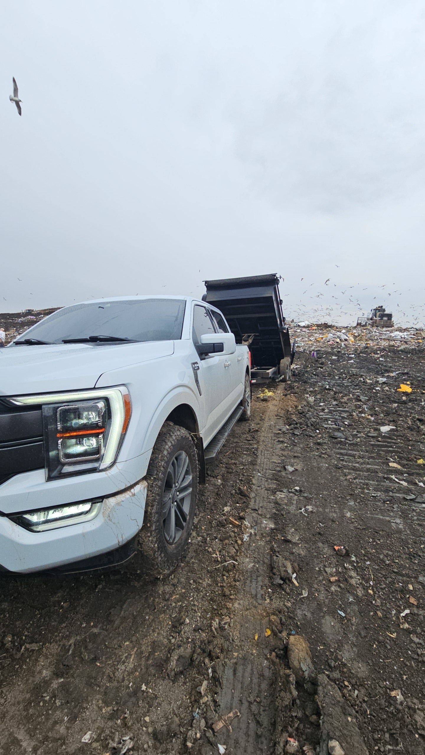 Klein Junk Removal truck at landfill